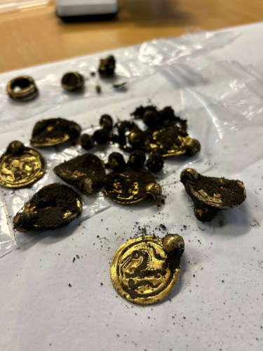 Der Goldfund wurde bereits am Tag nach seiner Entdeckung an das Archäologische Museum der Universität Stavanger geliefert. © Anniken Celine Berger, Archäologisches Museum, Universität Stavanger.