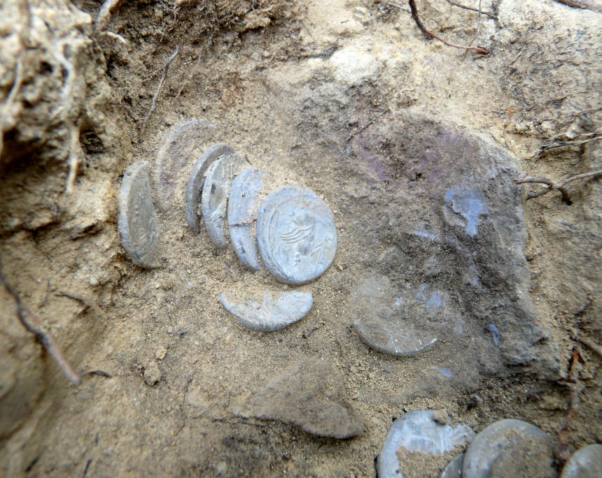 Die Denare des Hortes wurden schlummerten 2.000 Jahre lang  unentdeckt im Erdreich. Foto: Franco Sammartino.