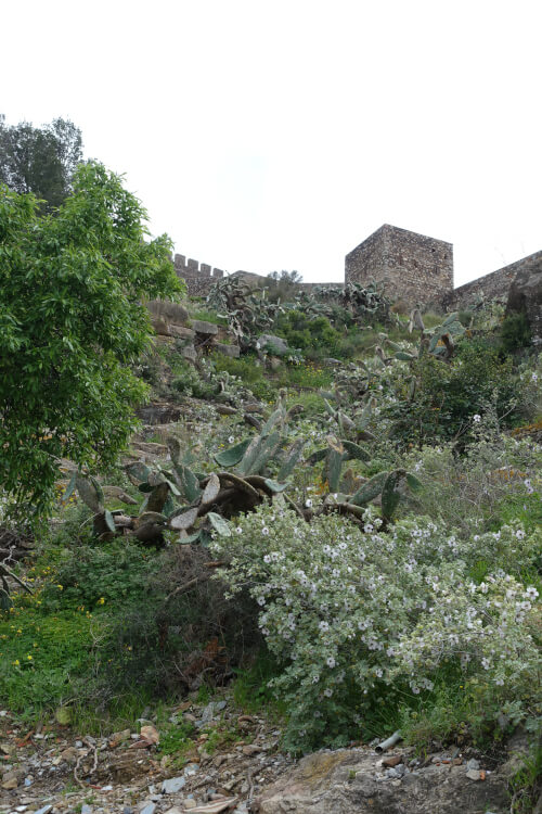 Der steile Aufstieg zur Burg. Kein Wunder, dass Hannibal so lange brauchte, bis er die eroberte. Foto: KW. Der steile Aufstieg zur Burg. Kein Wunder, dass Hannibal so lange brauchte, bis er die eroberte. Foto: KW.