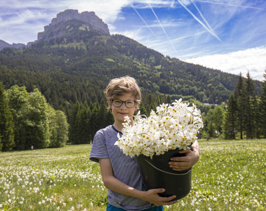 Die weißen Narzissen des Ausseerlandes stehen im Mittelpunkt des Narzissenfests. Foto ©Gerd Kressl
