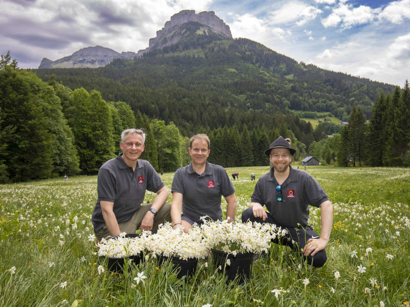 Die Ausbeute. Foto ©Gerd Kressl