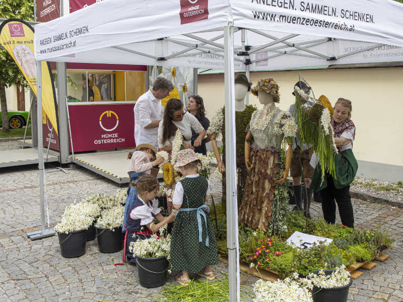 Die Narzissen sind der wichtigste Bestandteil der Skulptur, die später zur Prämierung antreten wird. Foto ©Gerd Kressl